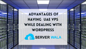 Advantages of Serverwala UAE VPS while dealing with Wordpress