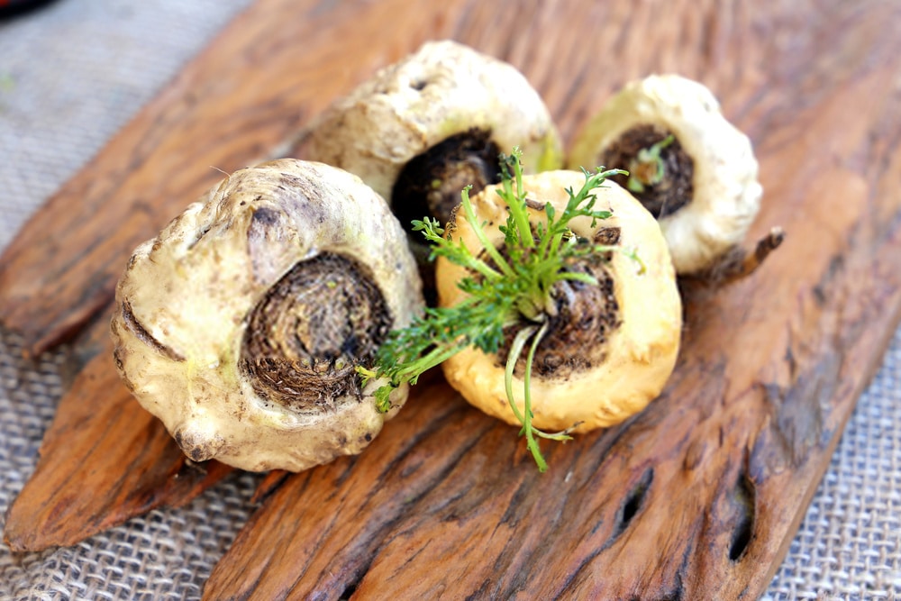 Maca root is a plant that has been increasing in popularity because of its ...