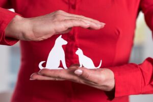 How to Choose the Best Pet Insurance